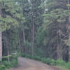 alenaoliynyk